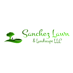 holland lawnmowing lawn care mower service